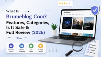 What Is Brumeblog Com?
